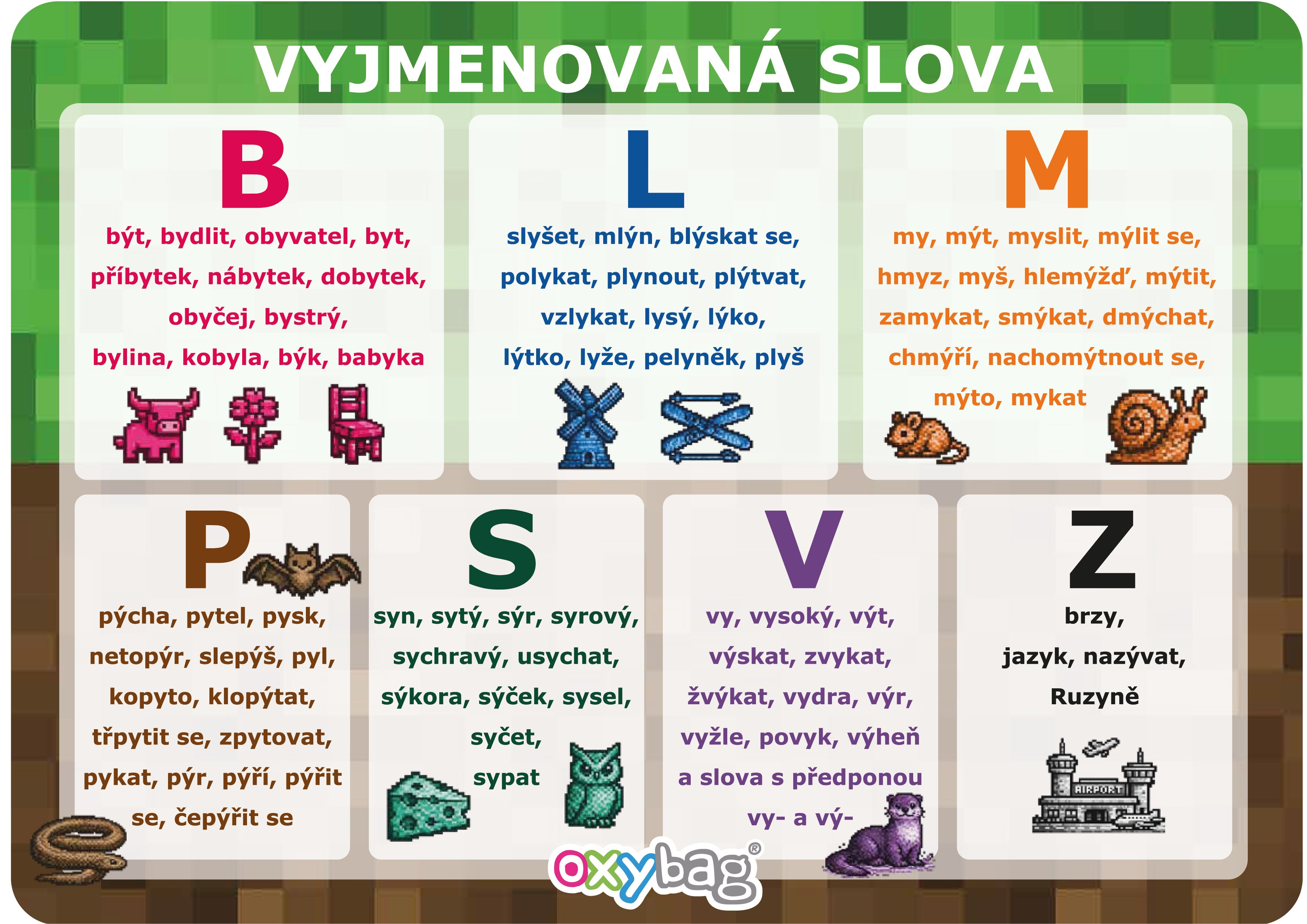 Vzdělávací karta A4 Vyjmenovaná slova playworld